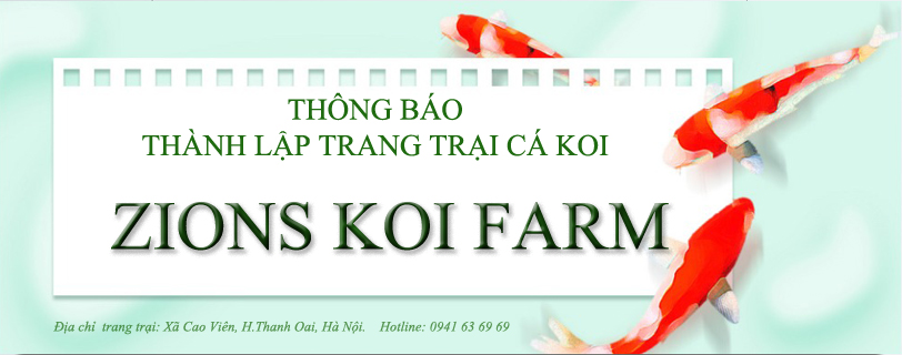 Thông Báo Thành Lập Trang Trại Cá Koi Zions Koi Farm Thông Báo Thành Lập Trang Trại Cá Koi Zions Koi Farm