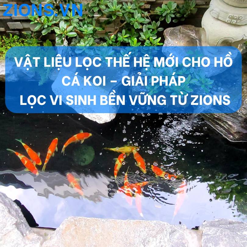 Vật liệu lọc thế hệ mới cho hồ cá Koi – Giải pháp lọc vi sinh bền vững từ Zions Vật liệu lọc thế hệ mới cho hồ cá Koi – Giải pháp lọc vi sinh bền vững từ Zions