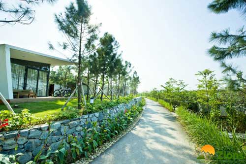 Thiết Kế, Thi Công Cảnh Quan Khu Nghỉ Dưỡng - Resort Thiết Kế, Thi Công Cảnh Quan Khu Nghỉ Dưỡng - Resort