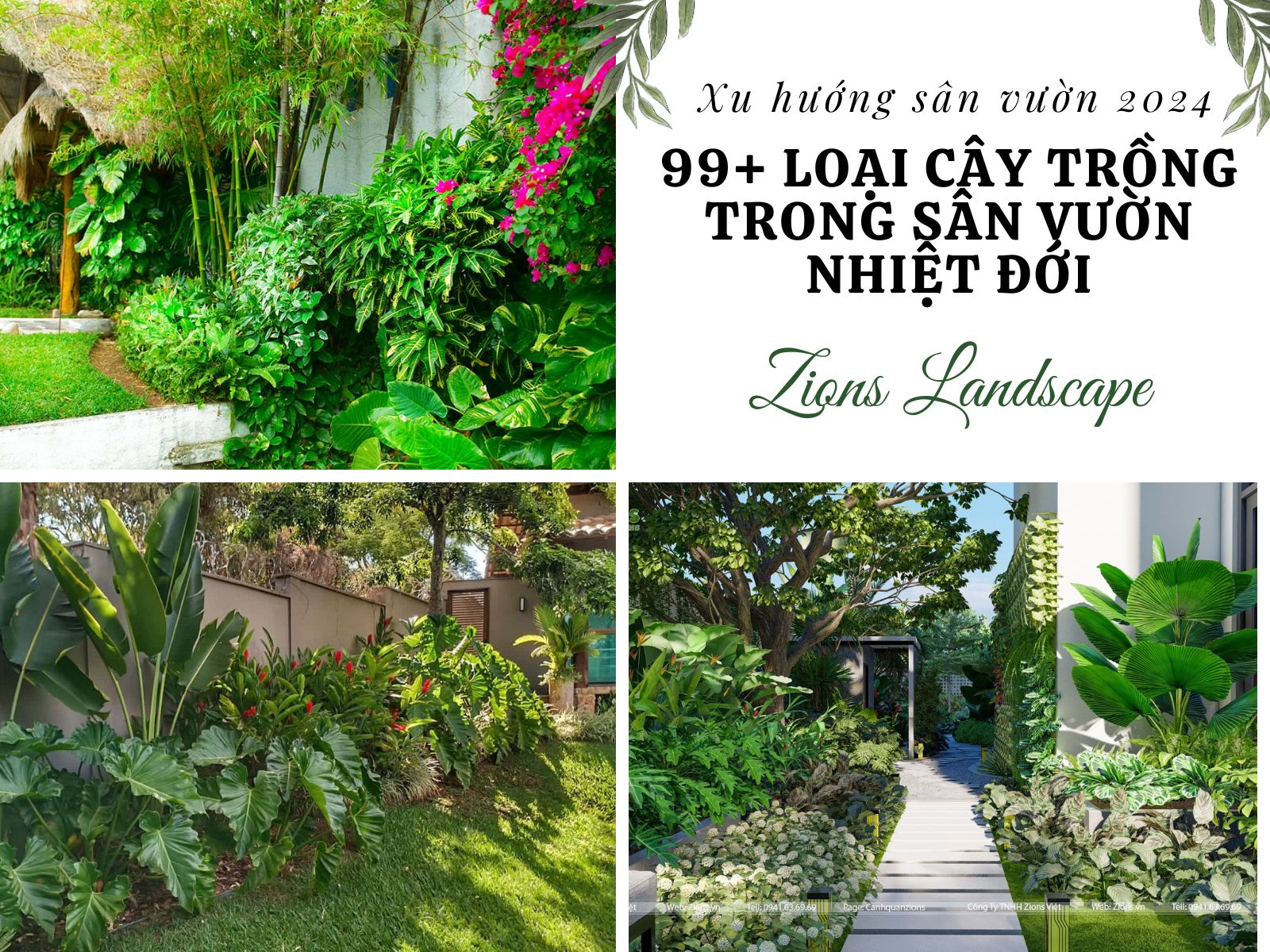 99 loại cây trồng trong sân vườn nhiệt đới - Xu hướng sân vườn 2024 99 loại cây trồng trong sân vườn nhiệt đới - Xu hướng sân vườn 2024